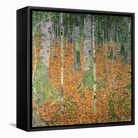 The Birch Wood, 1903-Gustav Klimt-Framed Premier Image Canvas