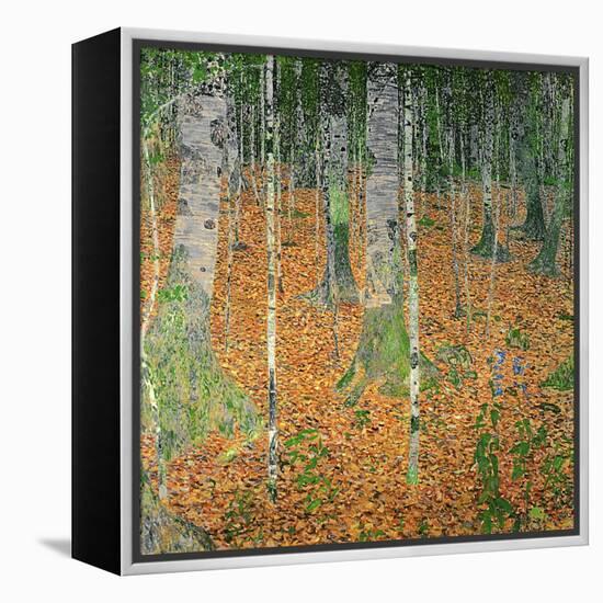 The Birch Wood, 1903-Gustav Klimt-Framed Premier Image Canvas