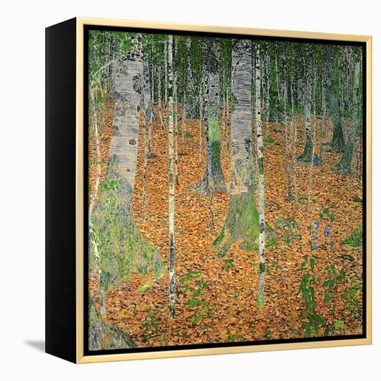 The Birch Wood, 1903-Gustav Klimt-Framed Premier Image Canvas