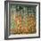 The Birch Wood, 1903-Gustav Klimt-Framed Premium Giclee Print