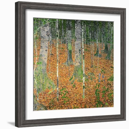 The Birch Wood, 1903-Gustav Klimt-Framed Premium Giclee Print