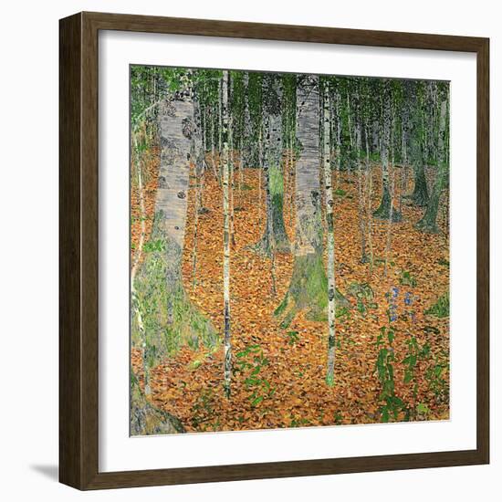 The Birch Wood, 1903-Gustav Klimt-Framed Premium Giclee Print