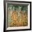 The Birch Wood, 1903-Gustav Klimt-Framed Premium Giclee Print