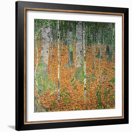 The Birch Wood, 1903-Gustav Klimt-Framed Premium Giclee Print