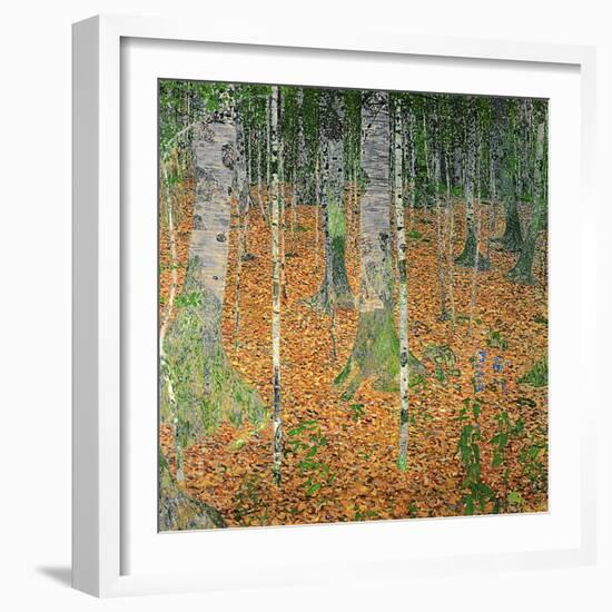 The Birch Wood, 1903-Gustav Klimt-Framed Premium Giclee Print