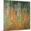 The Birch Wood, 1903-Gustav Klimt-Mounted Premium Giclee Print