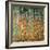 The Birch Wood, 1903-Gustav Klimt-Framed Premium Giclee Print