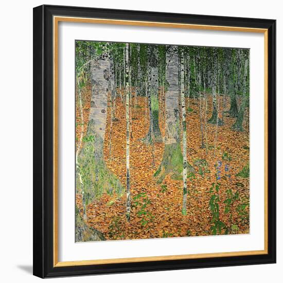 The Birch Wood, 1903-Gustav Klimt-Framed Premium Giclee Print