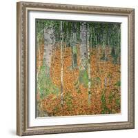 The Birch Wood, 1903-Gustav Klimt-Framed Giclee Print