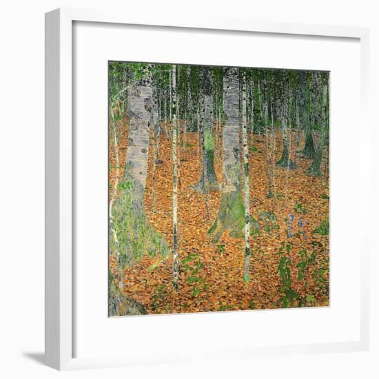 The Birch Wood, 1903-Gustav Klimt-Framed Giclee Print