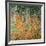 The Birch Wood, 1903-Gustav Klimt-Framed Giclee Print