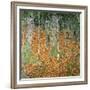 The Birch Wood, 1903-Gustav Klimt-Framed Giclee Print