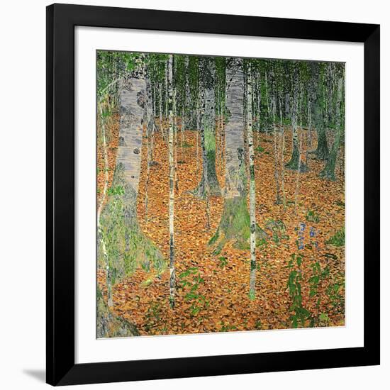 The Birch Wood, 1903-Gustav Klimt-Framed Giclee Print