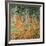 The Birch Wood, 1903-Gustav Klimt-Framed Giclee Print