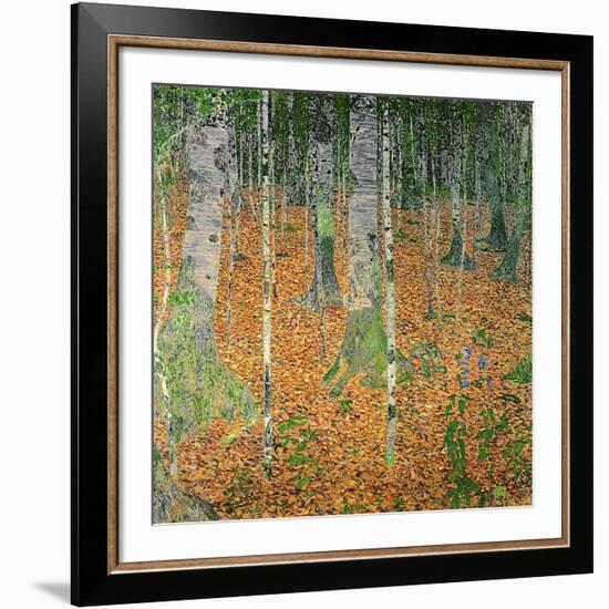 The Birch Wood, 1903-Gustav Klimt-Framed Giclee Print