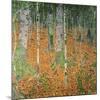 The Birch Wood, 1903-Gustav Klimt-Mounted Giclee Print