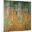 The Birch Wood, 1903-Gustav Klimt-Mounted Giclee Print