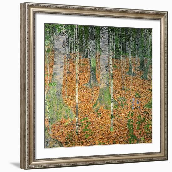 The Birch Wood, 1903-Gustav Klimt-Framed Giclee Print