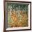 The Birch Wood, 1903-Gustav Klimt-Framed Giclee Print