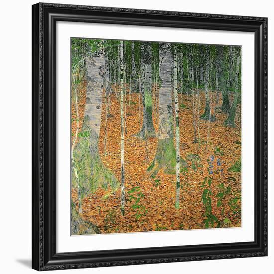 The Birch Wood, 1903-Gustav Klimt-Framed Giclee Print