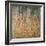 The Birch Wood-Gustav Klimt-Framed Giclee Print