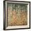 The Birch Wood-Gustav Klimt-Framed Giclee Print