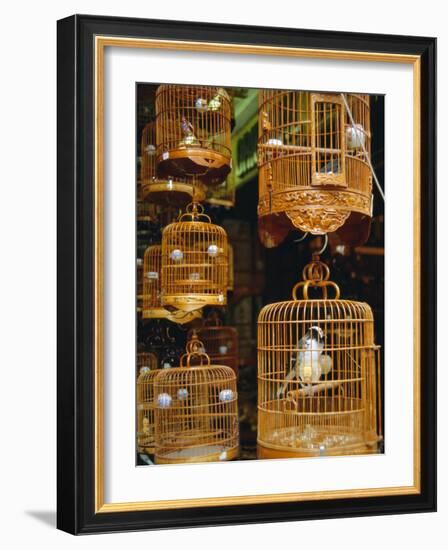 The Bird Market, Hong Lok Street, Mongkok, Kowloon, Hong Kong, China-Fraser Hall-Framed Photographic Print