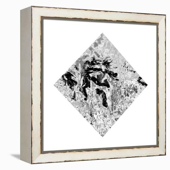 The Bird of Fire Was in Mt. Fuji in Japan Once-Masaho Miyashima-Framed Premier Image Canvas