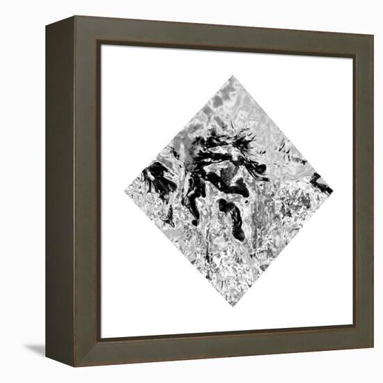 The Bird of Fire Was in Mt. Fuji in Japan Once-Masaho Miyashima-Framed Premier Image Canvas