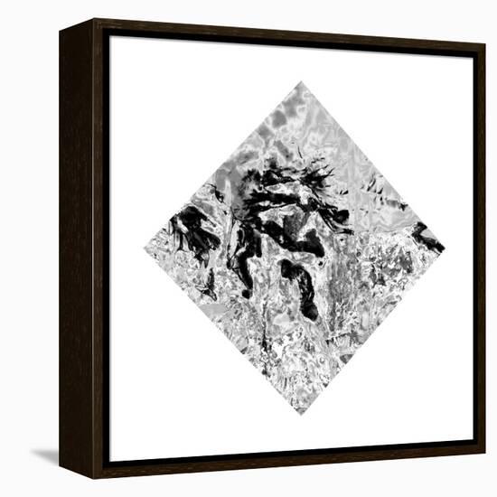 The Bird of Fire Was in Mt. Fuji in Japan Once-Masaho Miyashima-Framed Premier Image Canvas