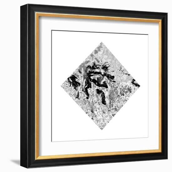 The Bird of Fire Was in Mt. Fuji in Japan Once-Masaho Miyashima-Framed Giclee Print