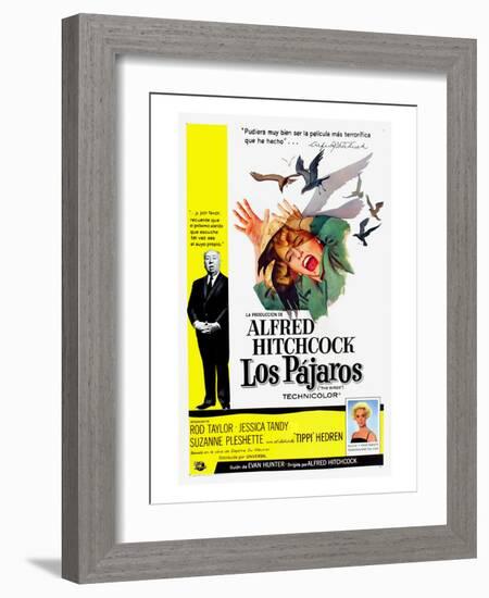 The Birds, (aka Los Pajaros), Alfred Hitchcock, Tippi Hedren, 1963-null-Framed Photo