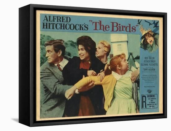 The Birds, Lobbycard, L-R: Rod Taylor, Suzanne Pleshette, Tippi Hedren, Veronica CArtwright, 1963-null-Framed Stretched Canvas