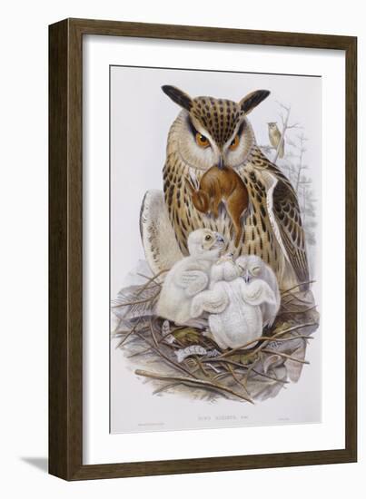 The Birds of Europe, Published 1832-1837-John Gould-Framed Giclee Print