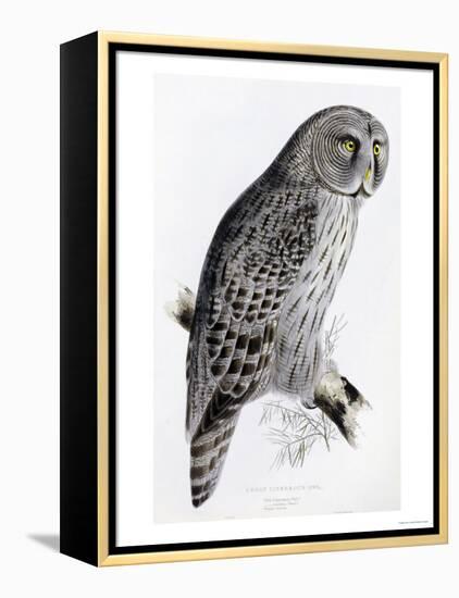 The Birds of Great Britain, Published 1862-1873-John Gould-Framed Premier Image Canvas