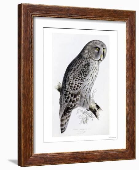 The Birds of Great Britain, Published 1862-1873-John Gould-Framed Giclee Print