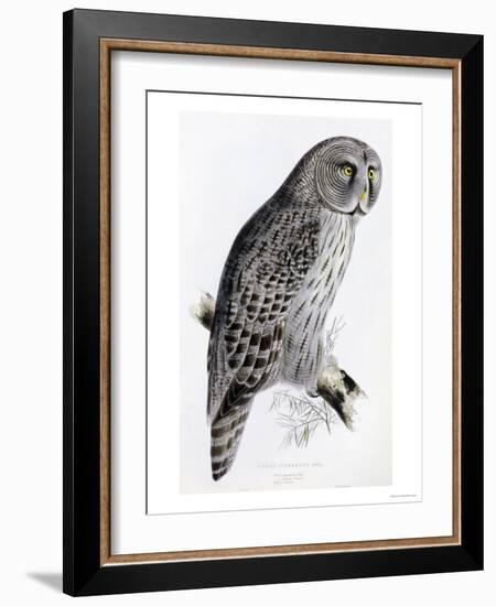 The Birds of Great Britain, Published 1862-1873-John Gould-Framed Giclee Print