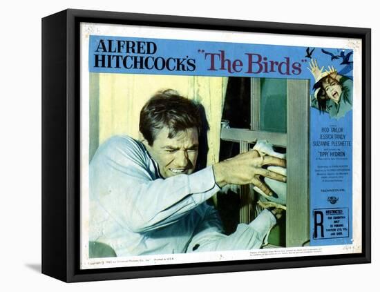 The Birds, Rod Taylor, 1963-null-Framed Stretched Canvas