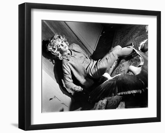 Photo, , large