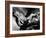 The Birds, Tippi Hedren, 1963-null-Framed Photo