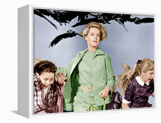 The Birds, Tippi Hedren, 1963-null-Framed Stretched Canvas