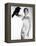 The Birds, Tippi Hedren, 1963-null-Framed Stretched Canvas