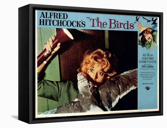 The Birds, Tippi Hedren, 1963-null-Framed Stretched Canvas