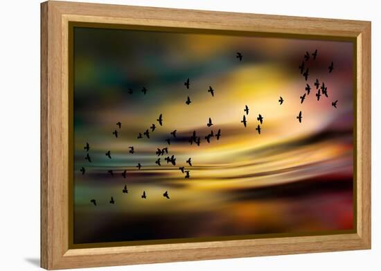 The Birds-Ursula Abresch-Framed Premier Image Canvas