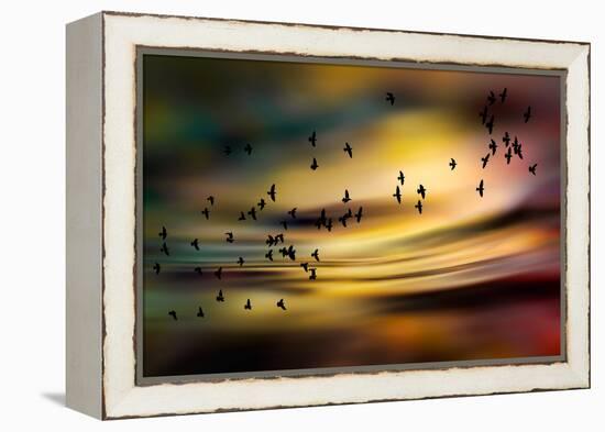 The Birds-Ursula Abresch-Framed Premier Image Canvas