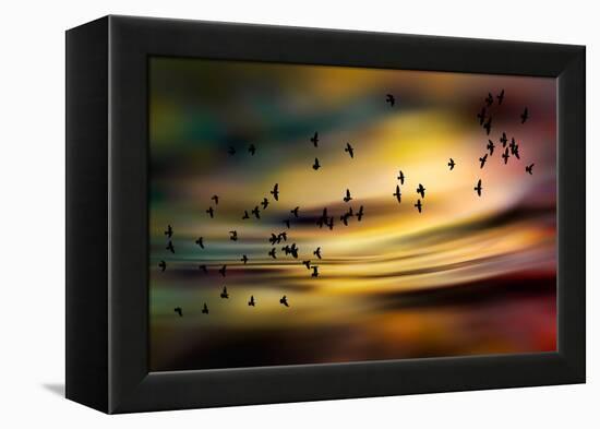 The Birds-Ursula Abresch-Framed Premier Image Canvas