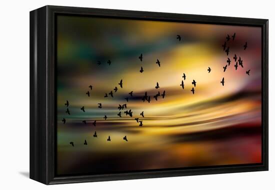 The Birds-Ursula Abresch-Framed Premier Image Canvas