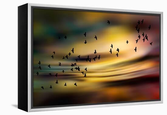 The Birds-Ursula Abresch-Framed Premier Image Canvas