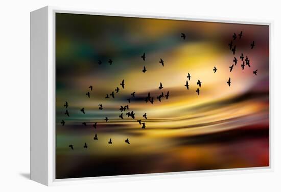 The Birds-Ursula Abresch-Framed Premier Image Canvas