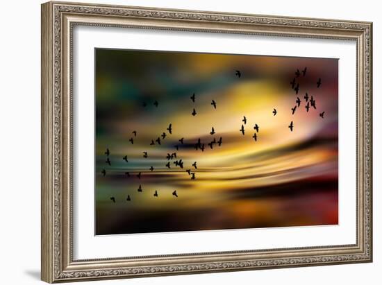 The Birds-Ursula Abresch-Framed Photographic Print